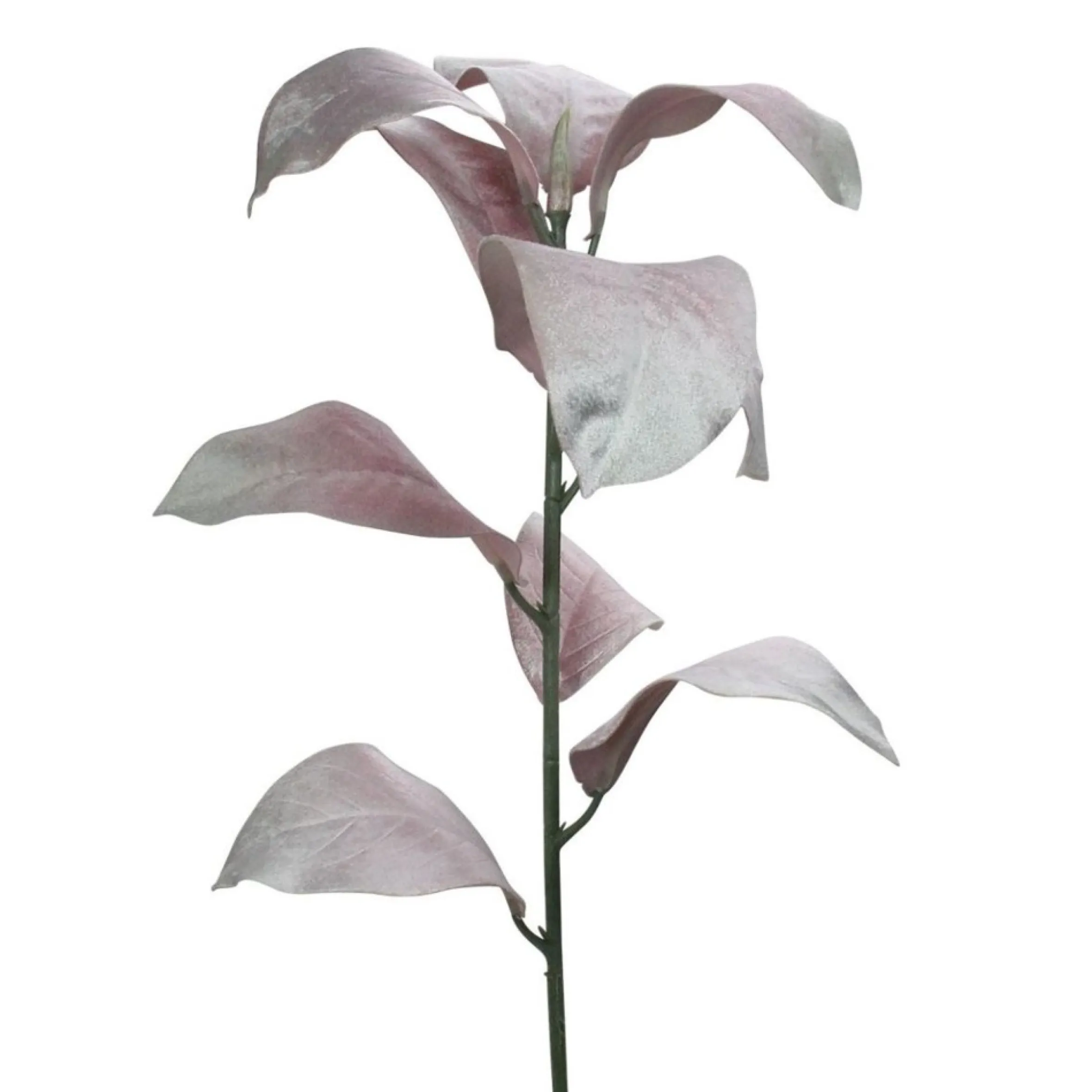 32" Blush Pink Magnolia Leaf Artificial Christmas Spray