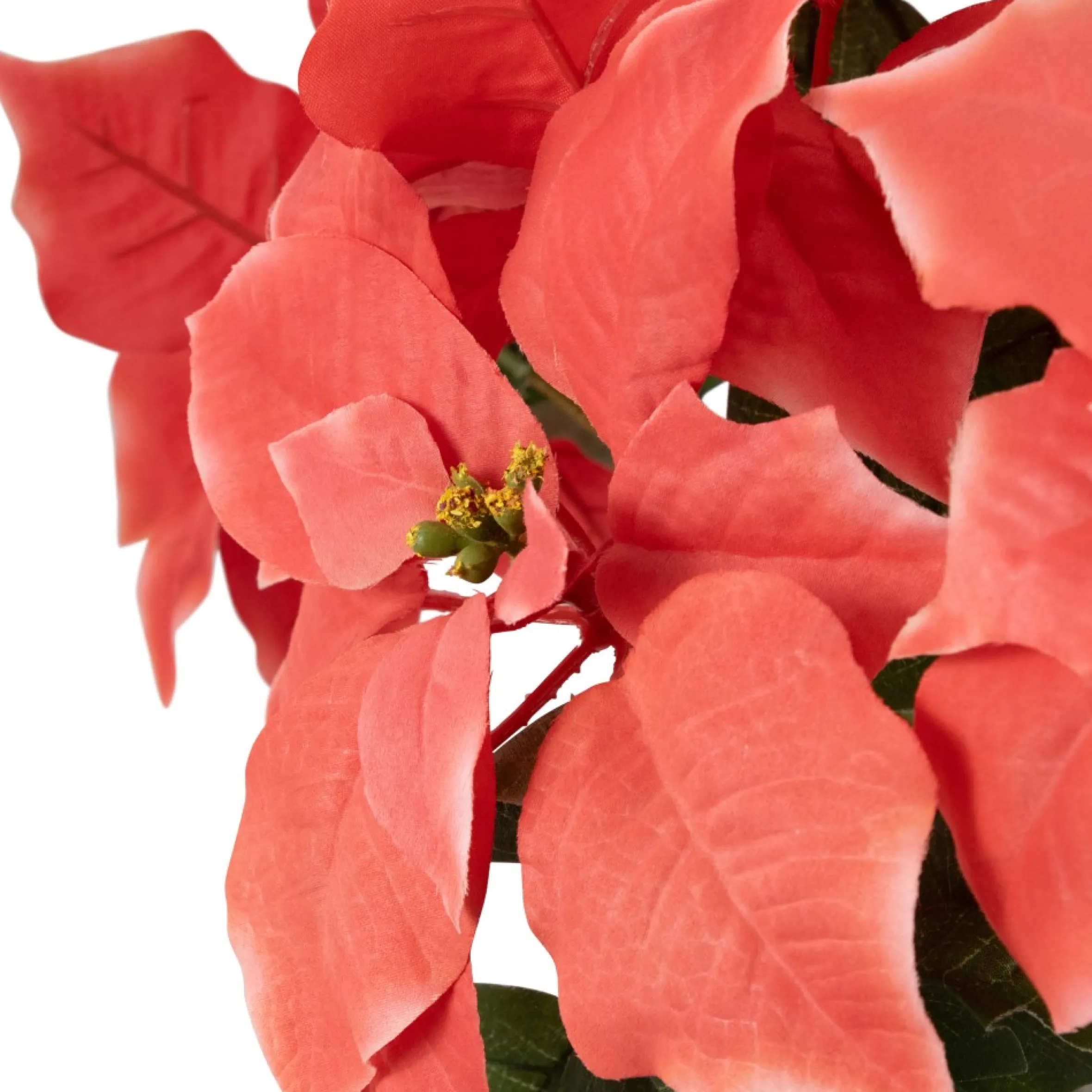 28" Dark Pink Artificial Christmas Poinsettia With Gold Wrapped Base