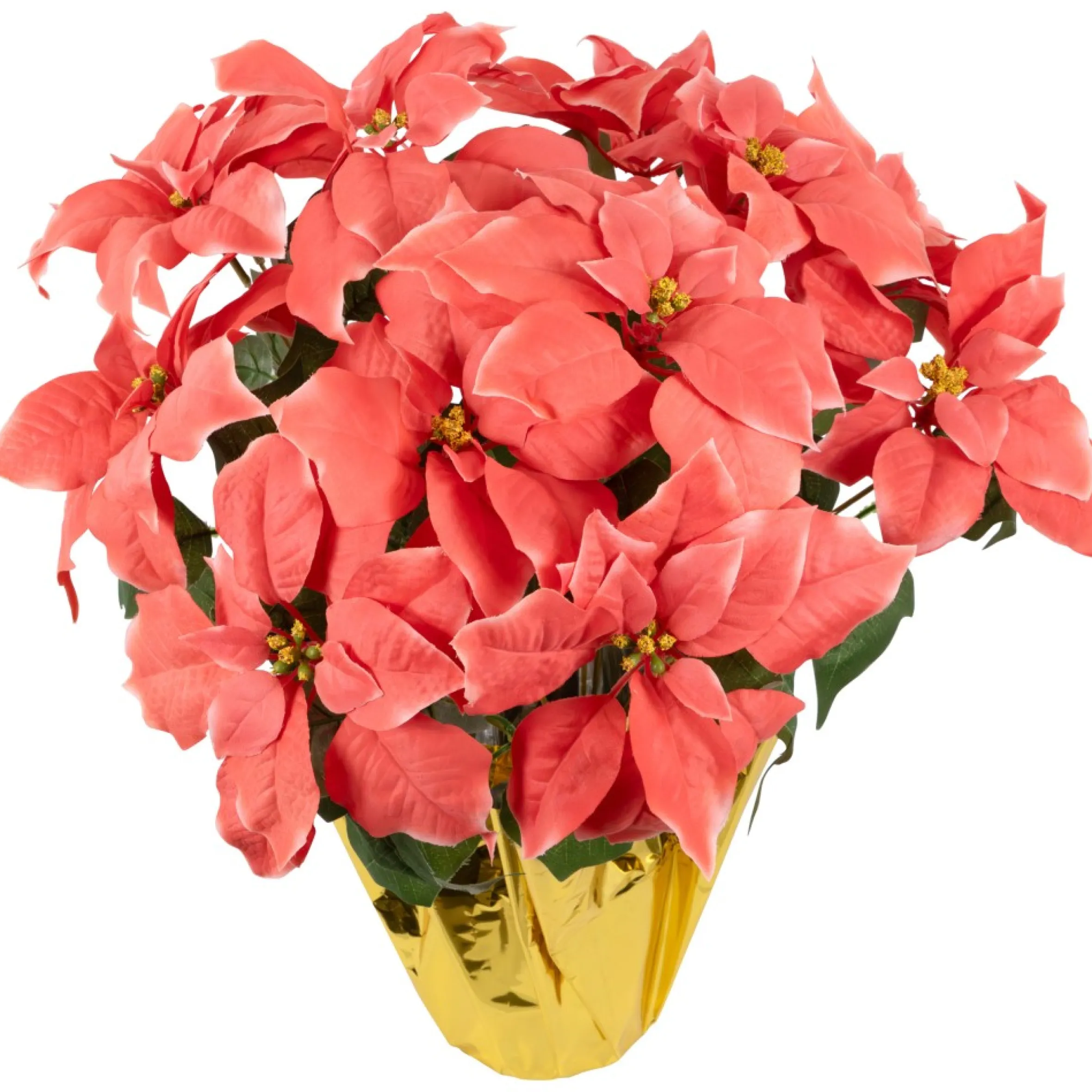 20" Dark Pink Artificial Christmas Poinsettia With Gold Wrapped Base