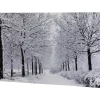 Fiber Optic Lighted Winter Lane Snowfall Christmas Canvas Wall Art 23.5" X 15.75"