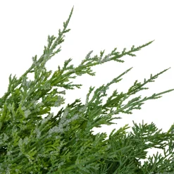 Frosted Cedar And Pine Cone Artificial Christmas Wreath, 26-Inch, Unlit