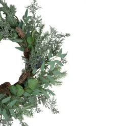 Frosted Green Mixed Foliage And Blueberries Artificial Christmas Wreath, 26-Inch, Unlit