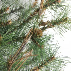 36" Green Country Mixed Pine Artificial Christmas Teardrop Swag - Unlit