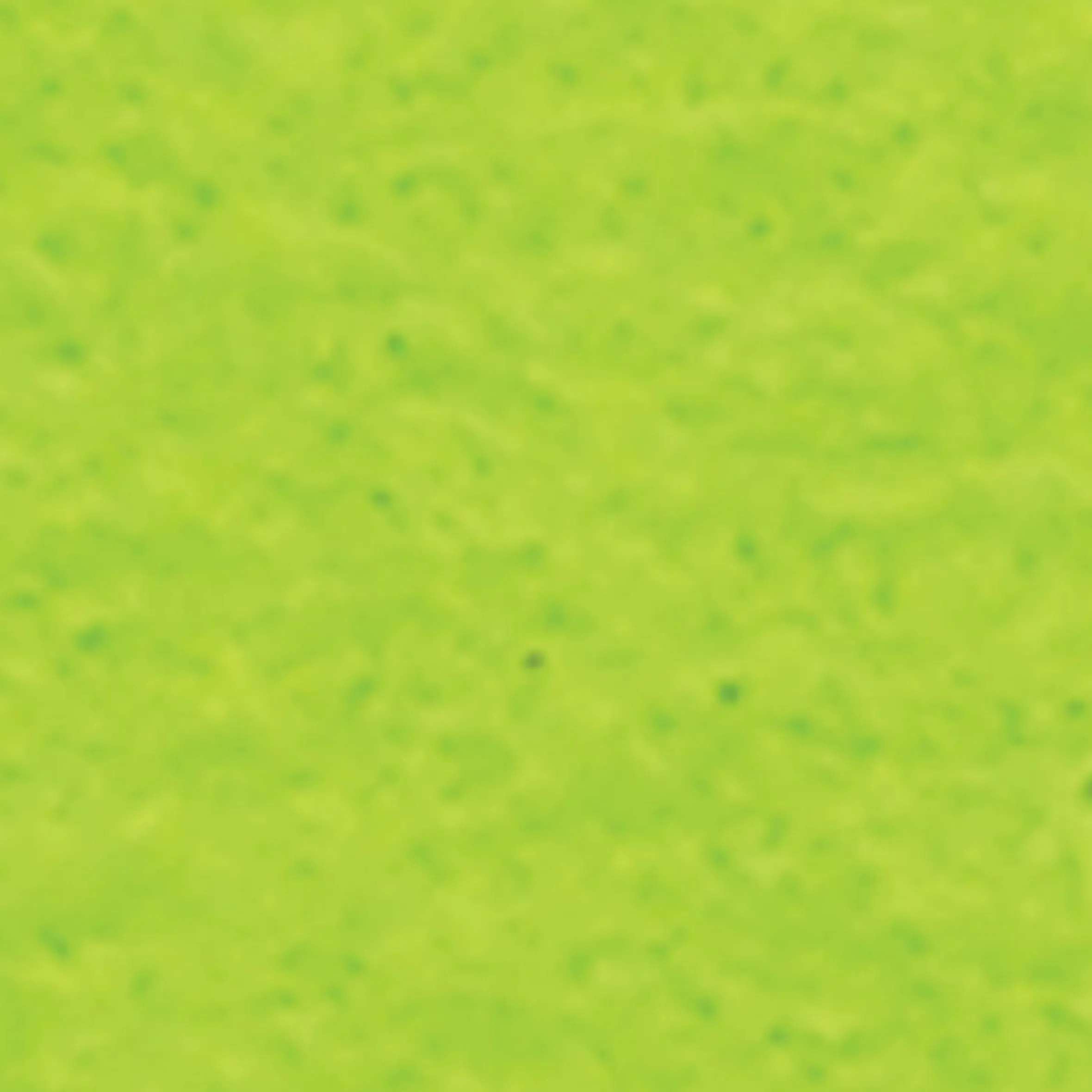 Green Felt Flower Christmas Special Assortment 8"