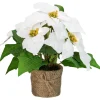 11.75" Led Artificial White Poinsettia Potted Plant - Clear Lights