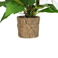 11.75" Led Artificial White Poinsettia Potted Plant - Clear Lights