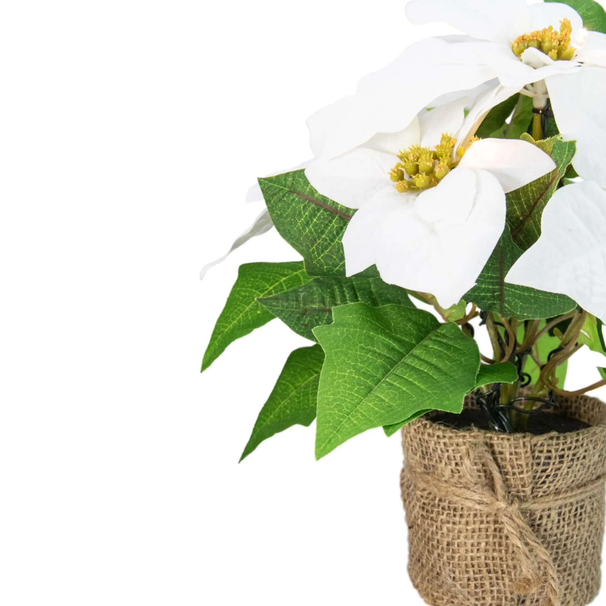 11.75" Led Artificial White Poinsettia Potted Plant - Clear Lights