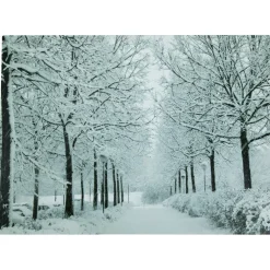 Led Lighted Fiber Optic Twinkling Snow Covered Tree Scene Canvas Wall Art 15.75" X 11.75"