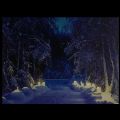 Led Lighted Nighttime In The Woods Winter Scene Canvas Wall Art 15.75