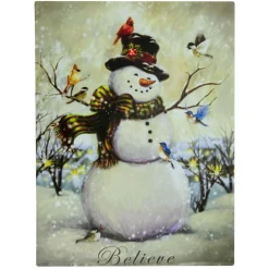 Led Lighted Snowman And Bird Friends Christmas Canvas Wall Art 15.75" X 11.75"