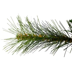 24" Mixed Canyon Pine Artificial Christmas Wreath - Unlit