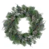 Mixed Pine And Blueberries Artificial Christmas Wreath -24-Inch, Unlit