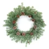 Pine With Pinecone Artificial Christmas Wreath, 24-Inch, Unlit