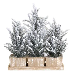 17" Potted Mini Snow Trees On Tray Christmas Arrangement