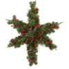 32" Pre-Lit Artificial Mixed Pine And Berries Christmas Snowflake Wreath