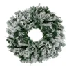 Pre-Lit Flocked Winfield Fir Artificial Christmas Wreath - 36-Inch, Warm White Led Lights