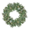 Pre-Lit Snow Mountain Pine Artificial Christmas Wreath - 24-Inch, Clear Lights