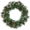 Pre-Lit Snow Valley Pine Artificial Christmas Wreath, 24-Inch, Clear Lights