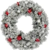 Pre-Lit Snowy Bristle Pine Artificial Christmas Wreath, 30-Inch, Warm White Lights