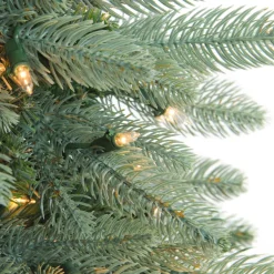 Pre-Lit Washington Frasier Fir Artificial Christmas Wreath - 36-Inch, Clear Lights