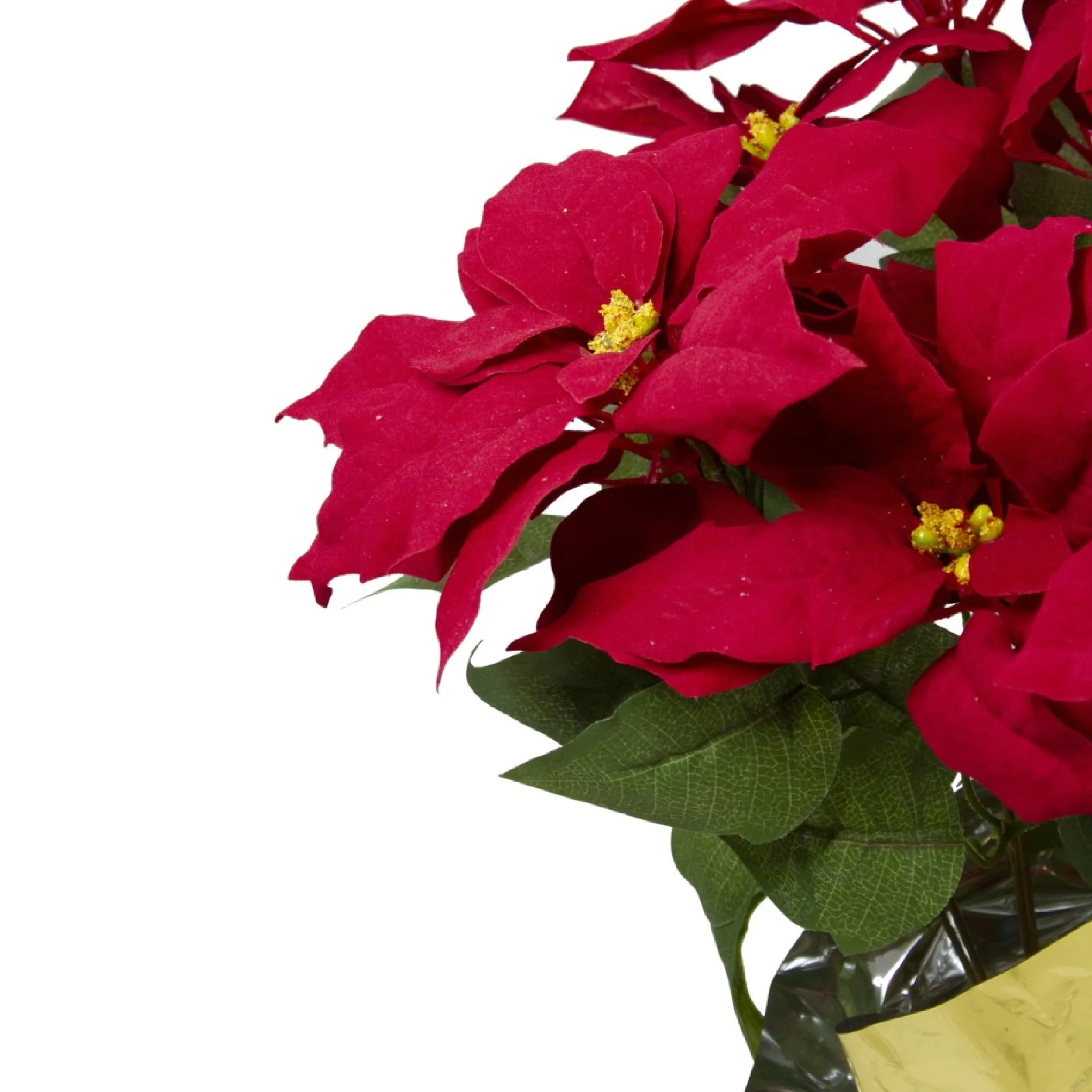 20" Red Artificial Christmas Poinsettia With Gold Wrapped Pot