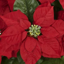 16.5" Red Poinsettia Silk Christmas Artificial Floral Arrangement In Planter