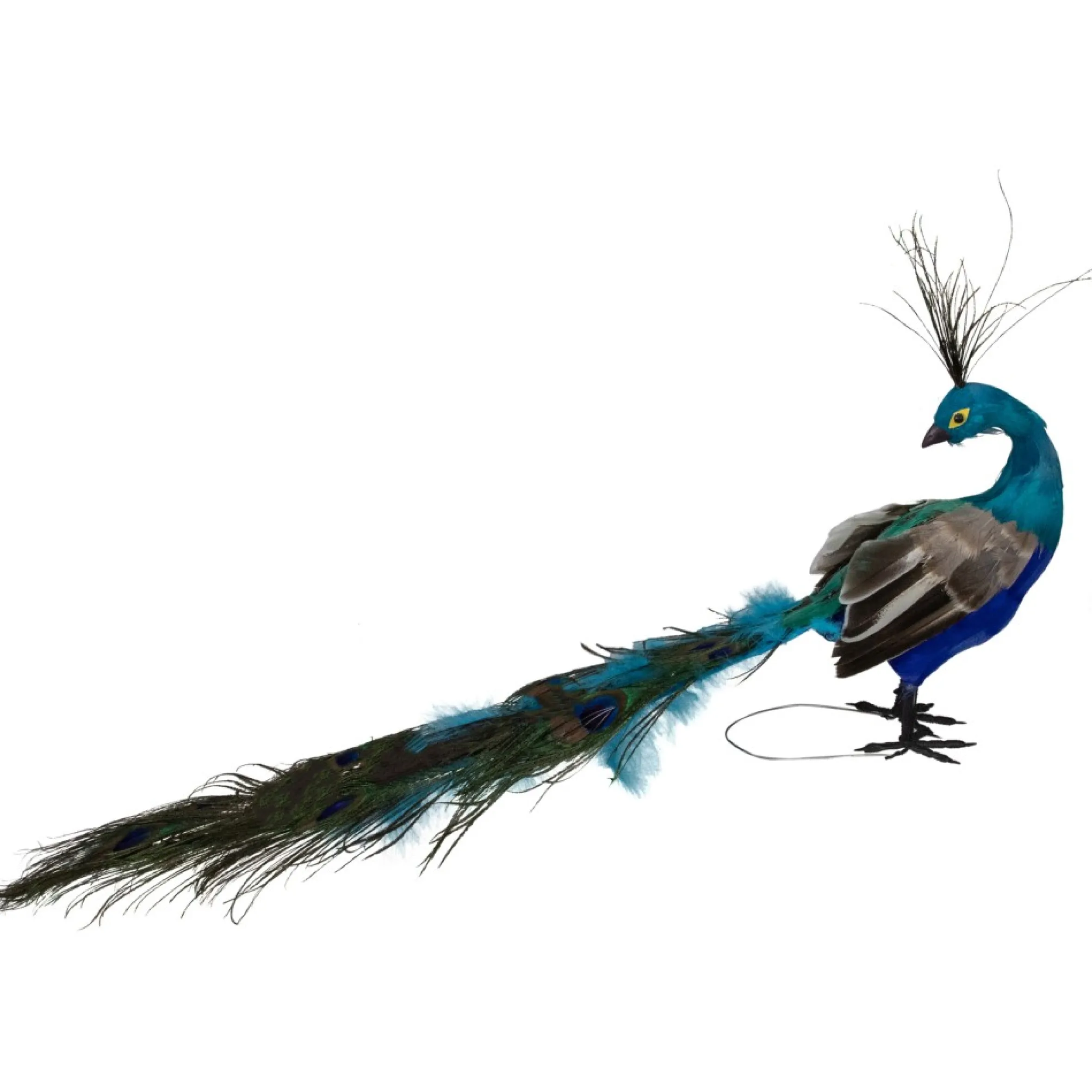23.5" Regal Peacock With Closed Tail Feathers Christmas Decoration