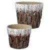 Set Of 2 White And Brown Frosted Bark Christmas Pots 9.75"