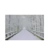 Small Fiber Optic Lighted Winter Wooden Bridge Canvas Wall Art 12" X 15.75"