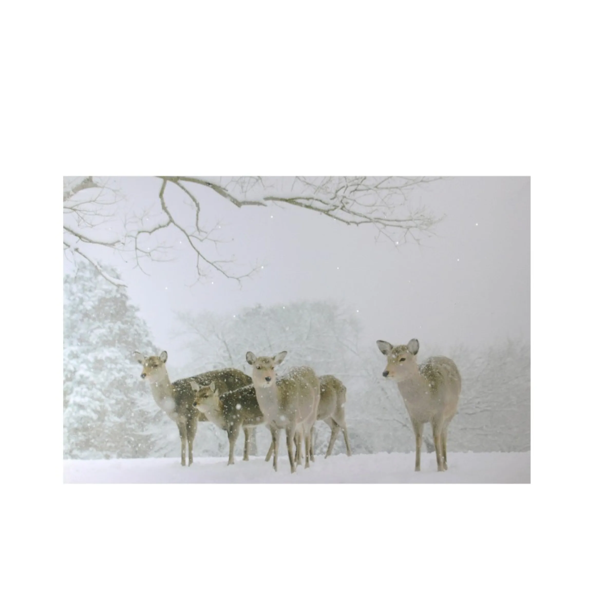 Small Fiber Optic Lighted Winter Woods With Deer Canvas Wall Art 12" X 11.75"