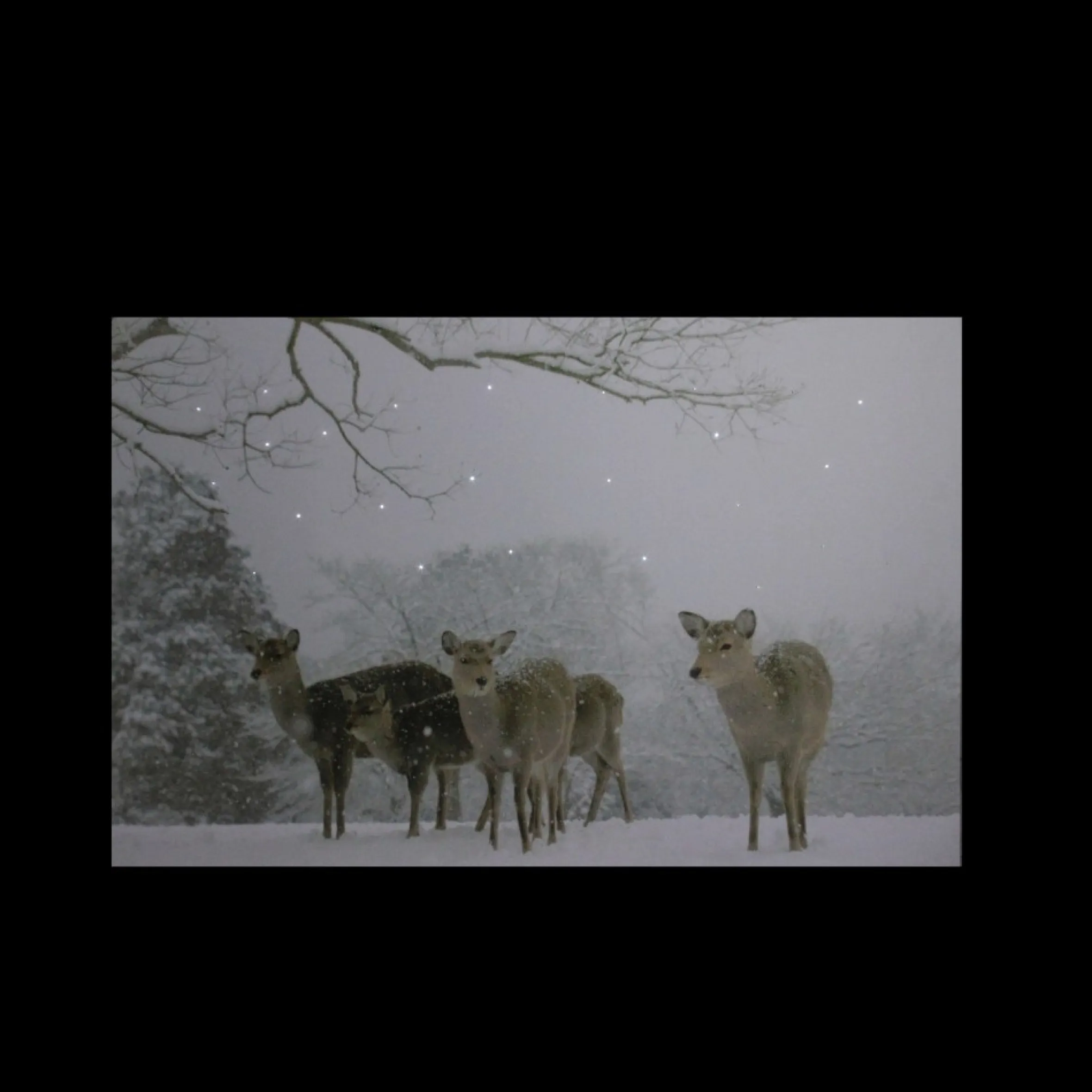 Small Fiber Optic Lighted Winter Woods With Deer Canvas Wall Art 12" X 11.75"