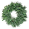 24" White Valley Pine With Pine Cones Artificial Christmas Wreath - Unlit
