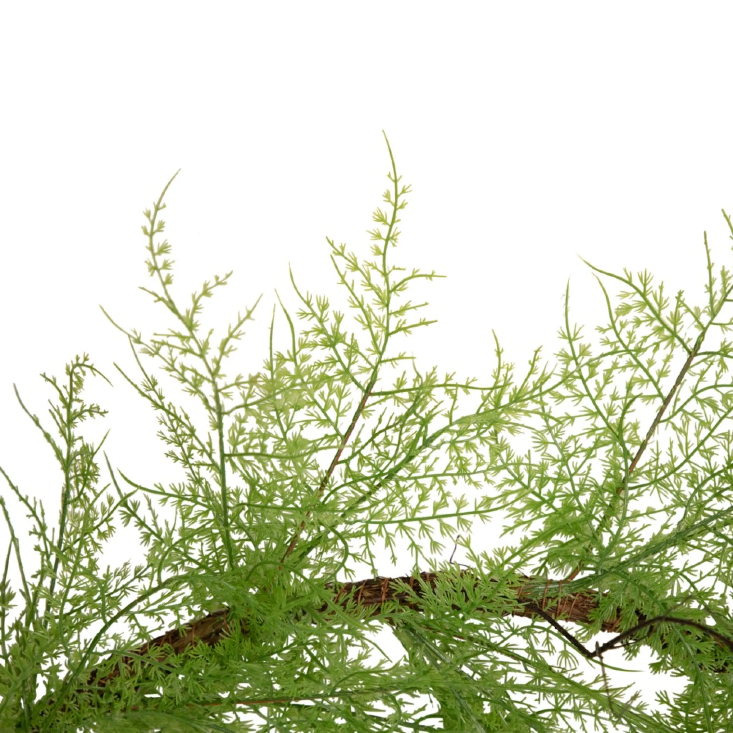 5' X 8" Green And Brown Cedar Artificial Christmas Garland - Unlit