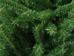 9' X 8' Green Pine Artificial Commercial Christmas Archway, Unlit