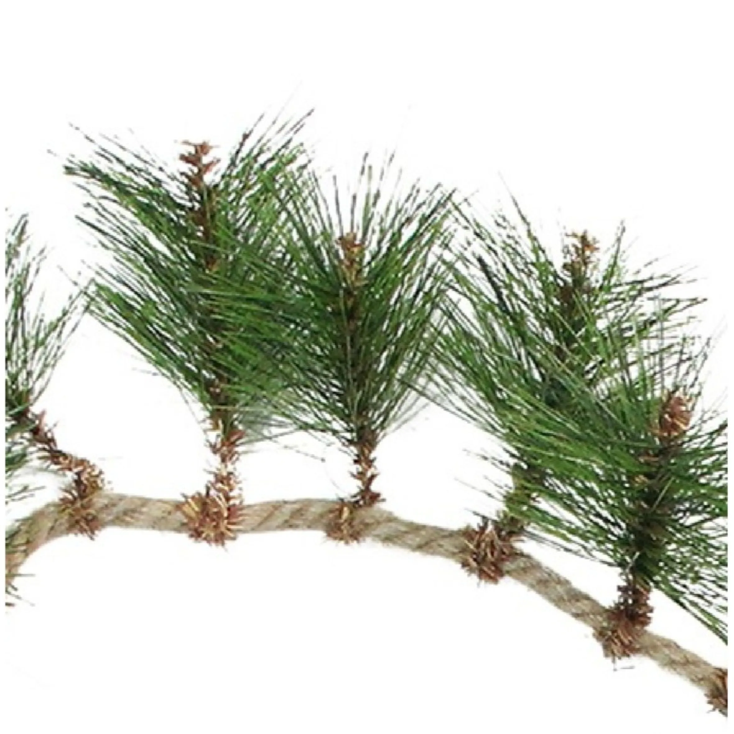 6' X 5" Long Needle Pine And Rope Rustic Artificial Christmas Garland - Unlit