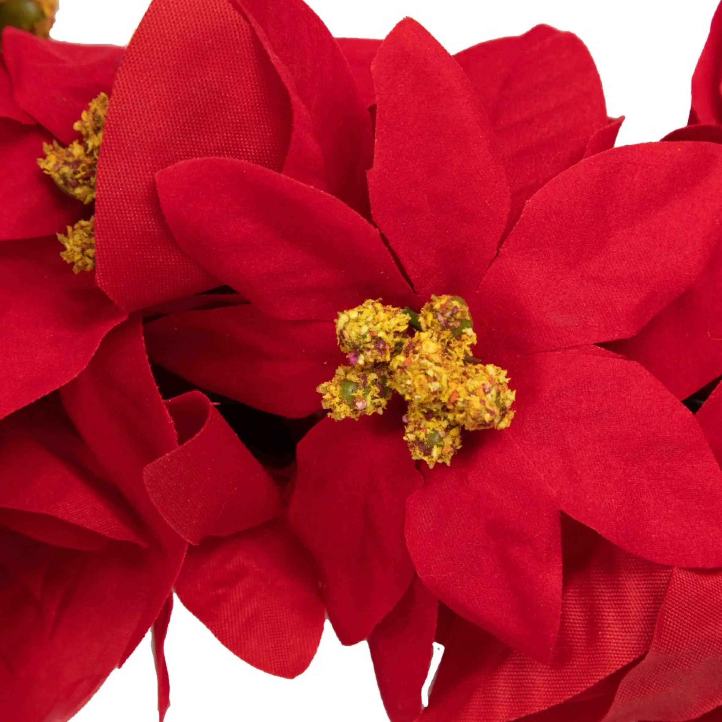 6' X 3" Red Artificial Poinsettia Floral Christmas Garland - Unlit